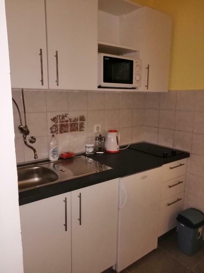 Apartmani Korina ستاريغغاد باكلينتسا المظهر الخارجي الصورة